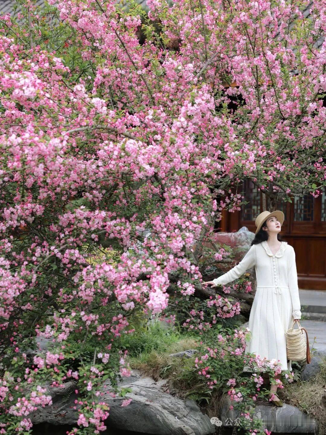 非常通透的一段话：“成年人最顶级的智慧,是表面不翻脸，内心说再见。永远别当众与人