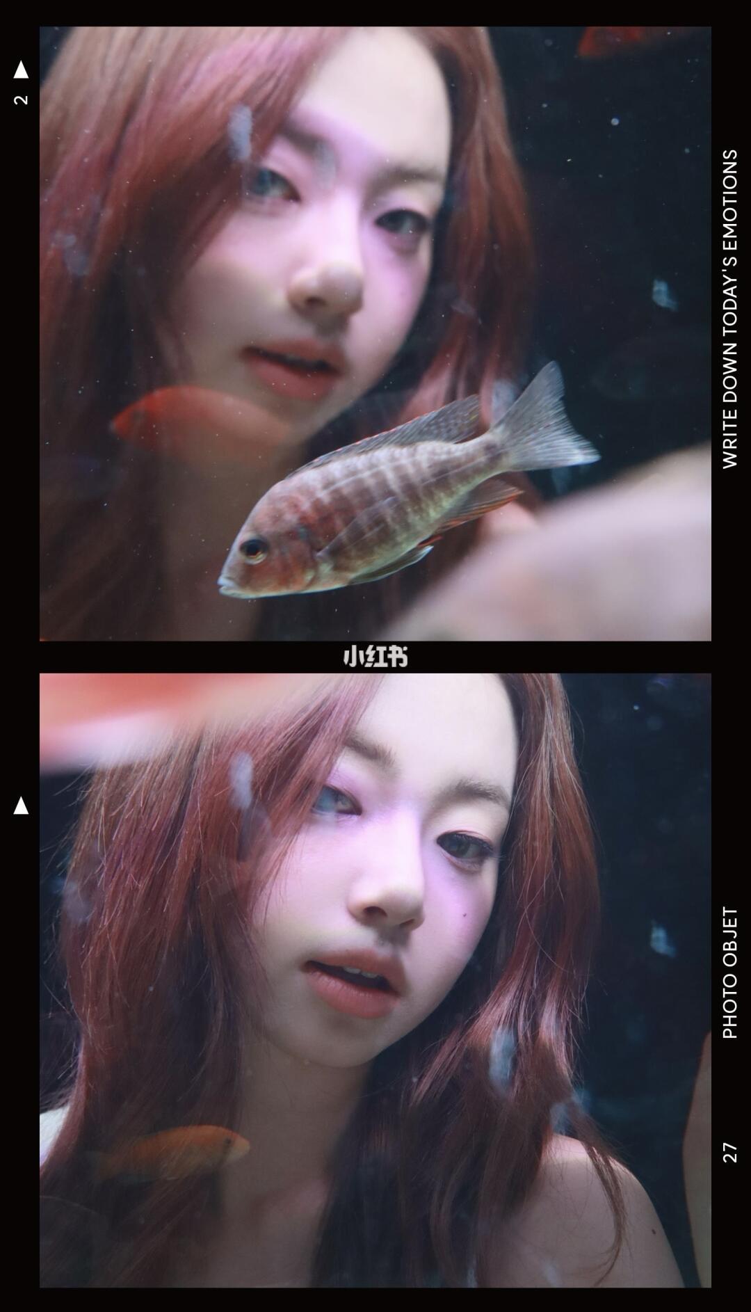 🐋在小韩拍到超火的金鱼四宫格啦🪼