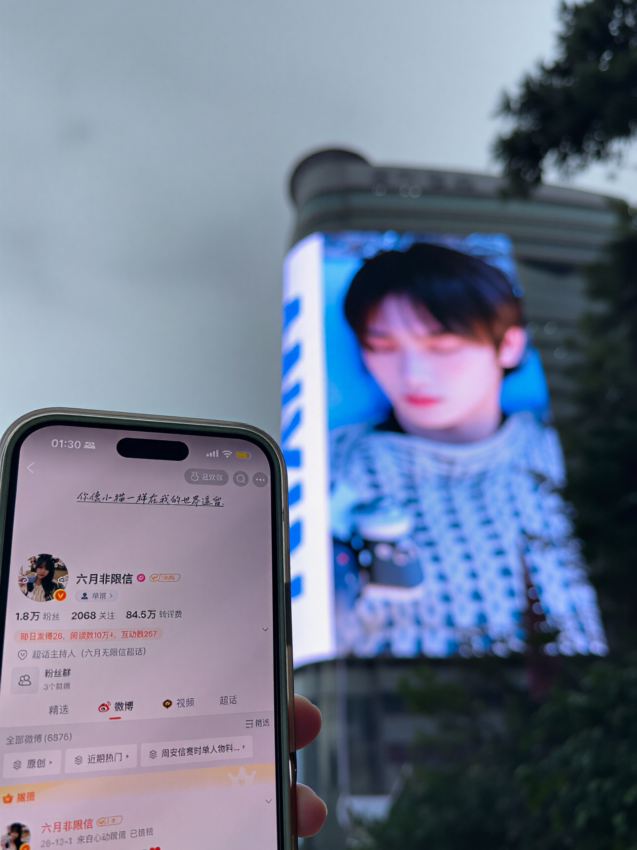 我爱她呀​​​