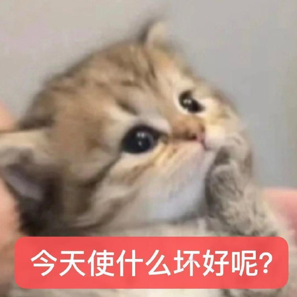 全部都是李善情🥰 ​​​