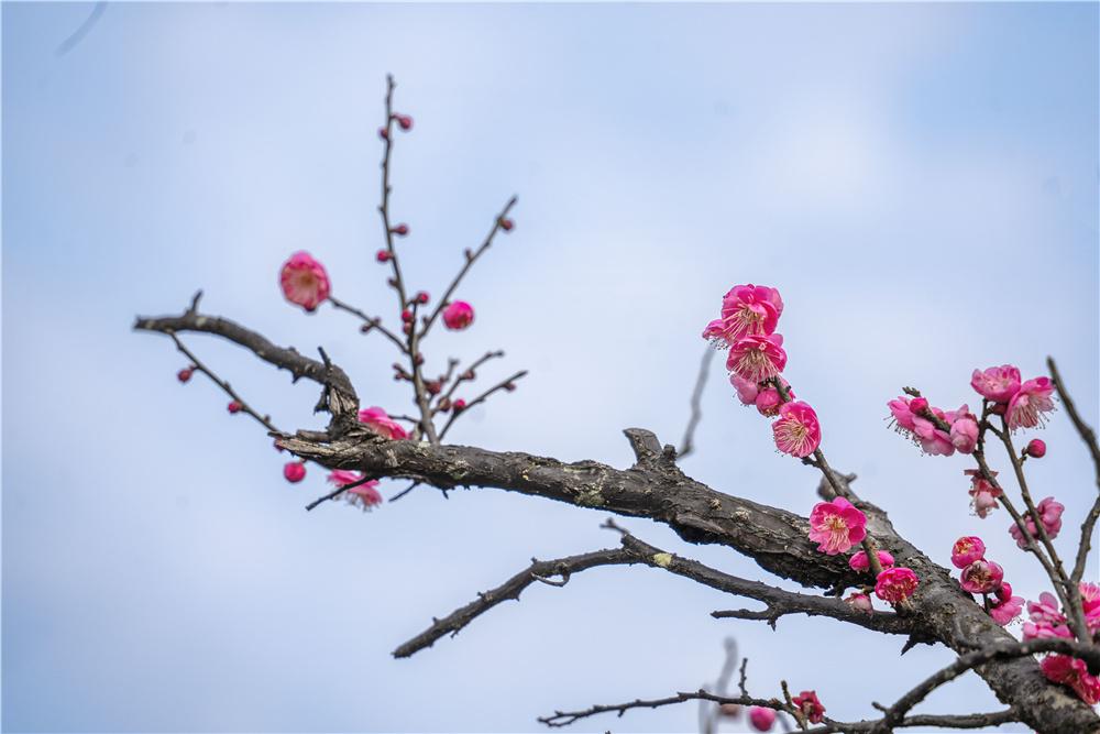 读《近思录》之3.2　

伊川先生答门人曰：孔孟之门，岂皆贤哲，固多众人。以众人