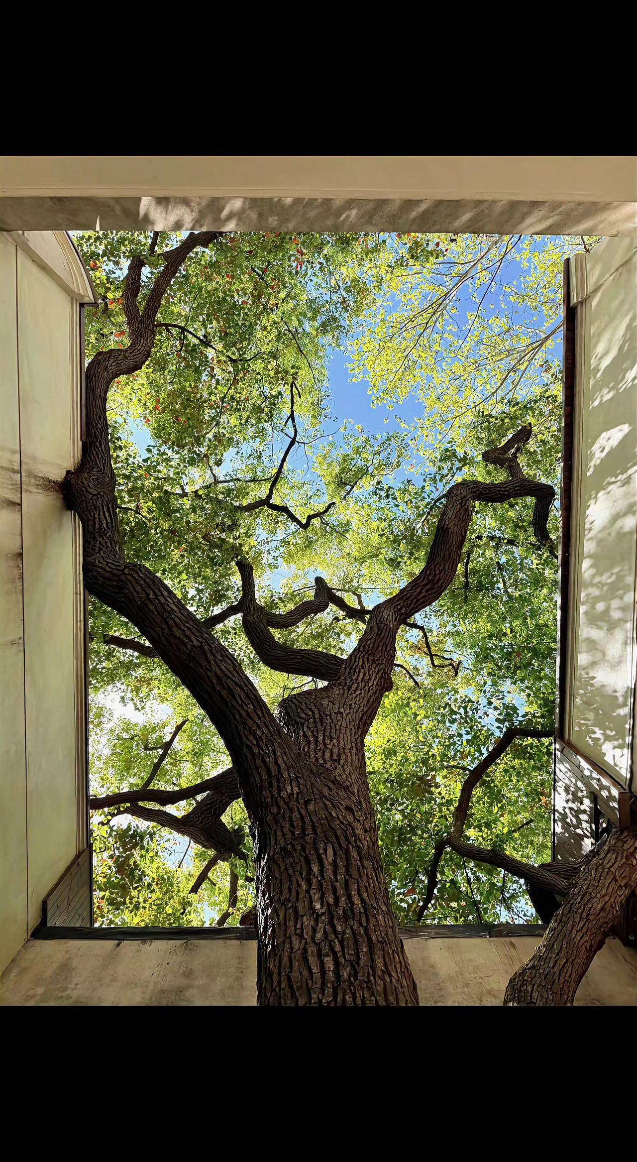 🪟抬头撞见树的骨骼伸向天空，绿浪在窗框里翻滚🌿。建筑是沉默的画框，自然才是流
