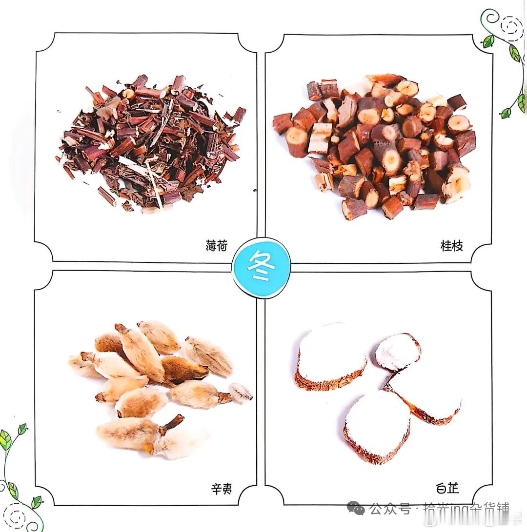 中草药香包配方1（四季香囊） 每种5g春：丁香、青蒿、茵陈、艾叶（醒神、防流感、