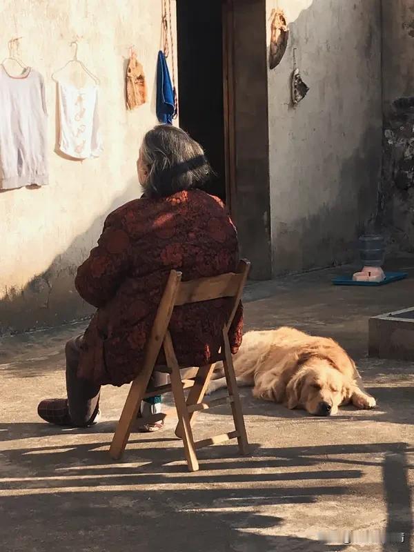 人老了才看清残酷的现实：血浓于水是真，至亲伤人最深也是真

年轻时，总以为家是铜