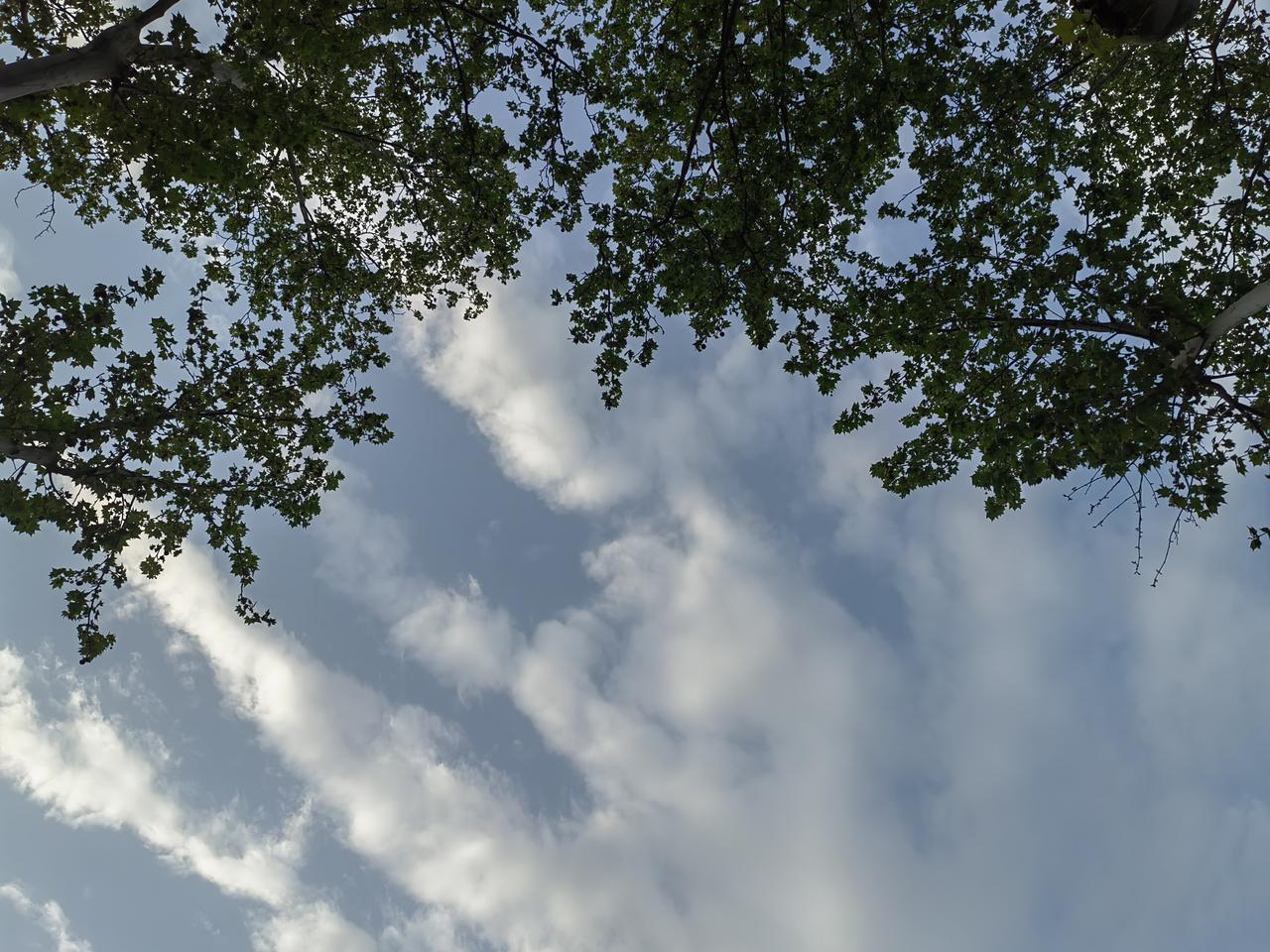 人往高处走,高处有什么?
有功成名就
有如梦繁华
有权力显赫
有人生美景
有高天