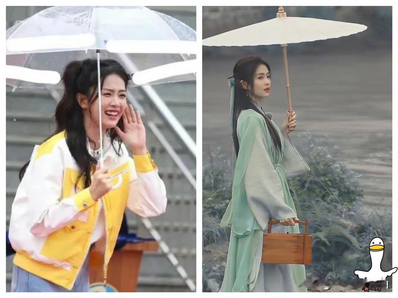 李晨在《奔跑吧》待了11年，录制了100多期。29岁的白鹿在节目里，当着一群人的