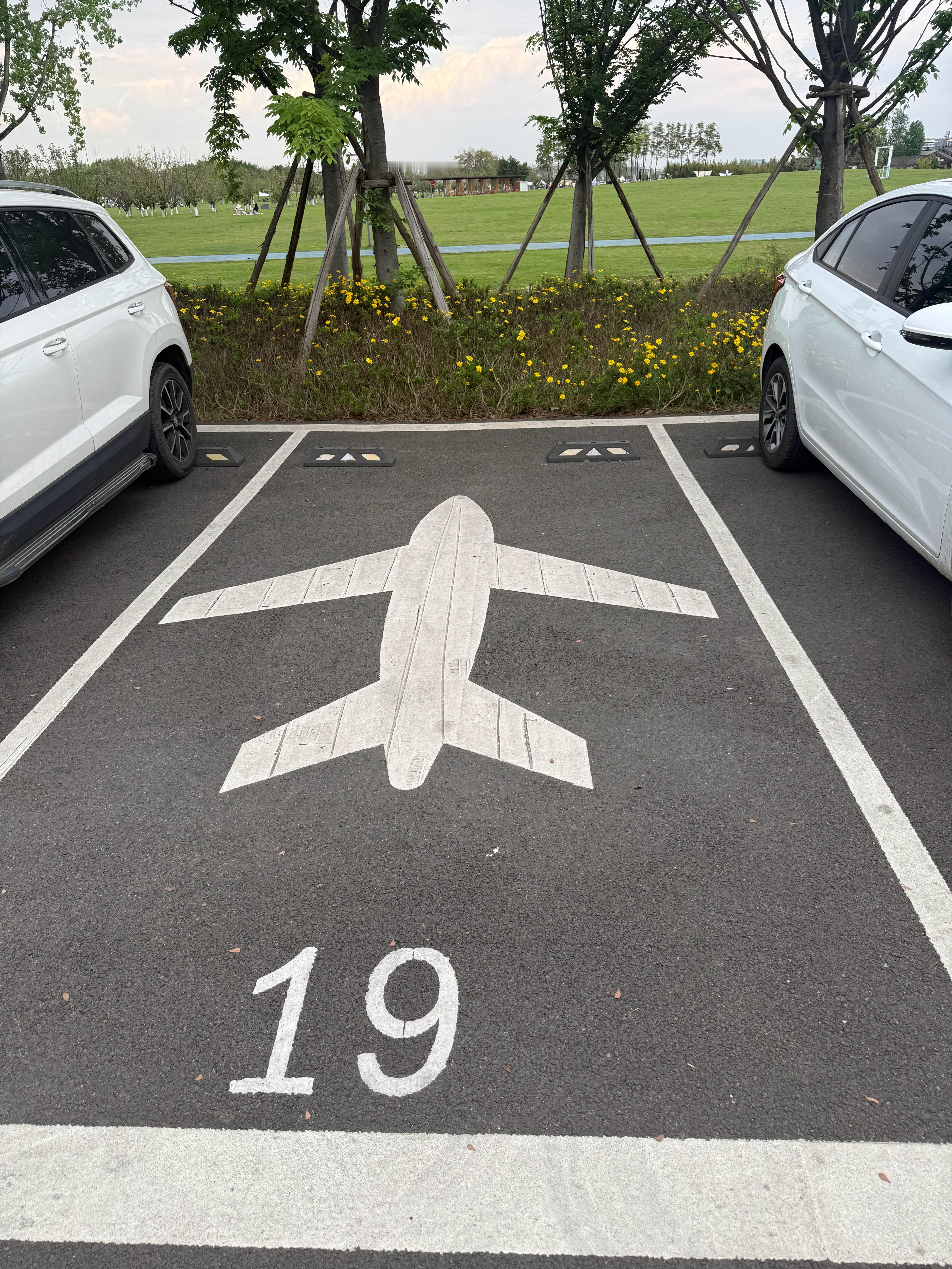 五一航班大面积取消飞机可以用电的吗？ 