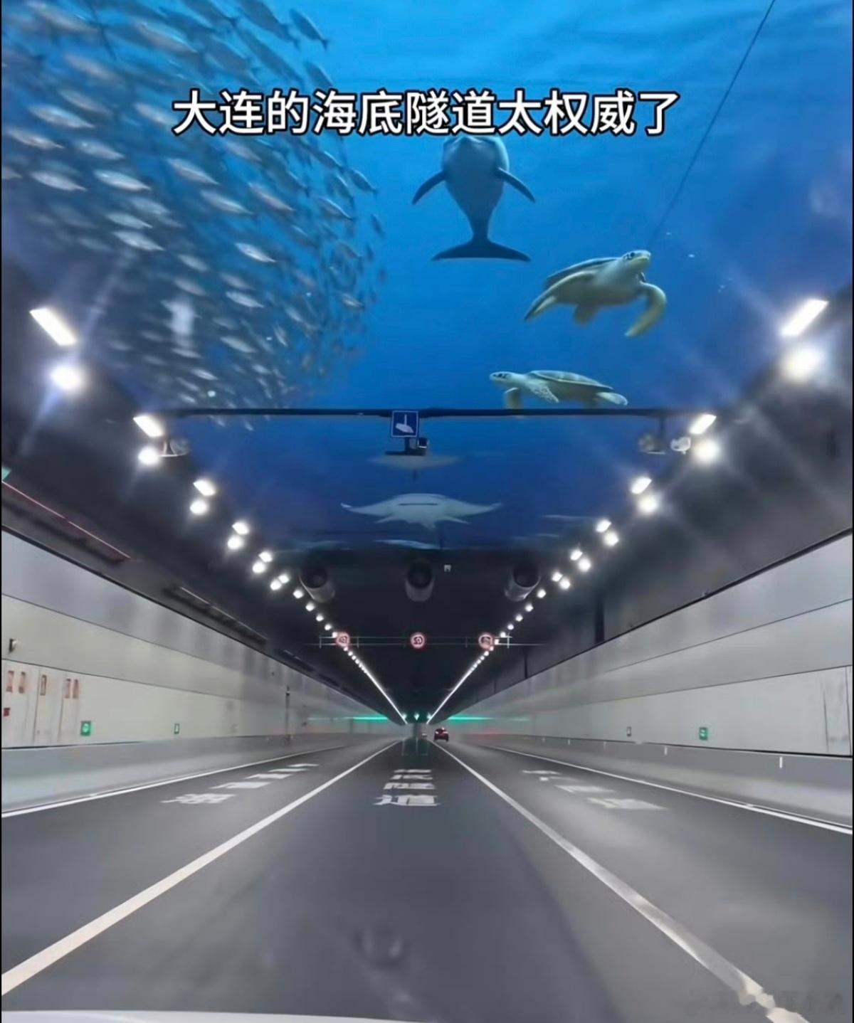 小红书旅游帖 诈骗怎么过审的我就想问，一看就好假都是P上去的呀