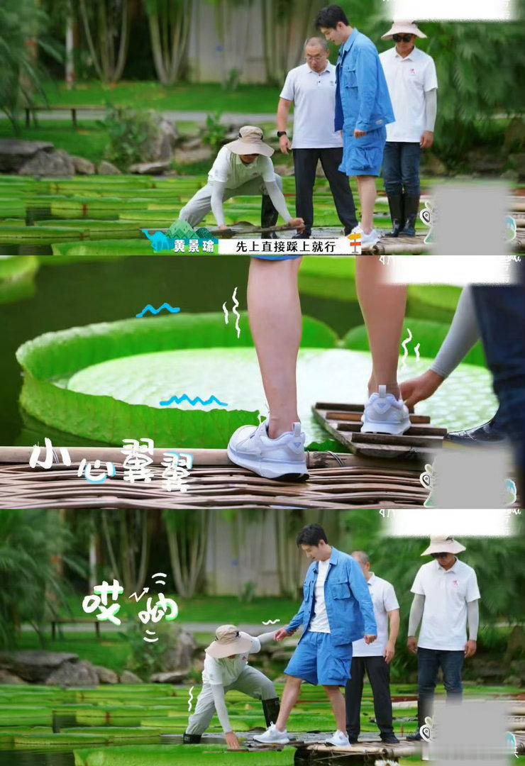 黄景瑜把压力给到王莲王🪷谁能想到一片莲叶能扛住成年男生，黄景瑜亲身测试王莲韧性