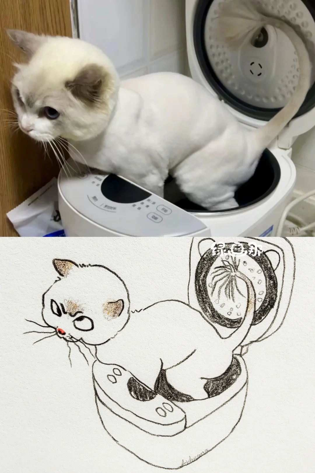 别催了，饭马上就好
