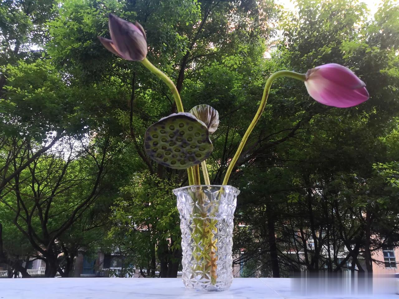 早上好！
预测会发生什么，不难，它需要的是知识，知识可以学习；预测什么时候发生，