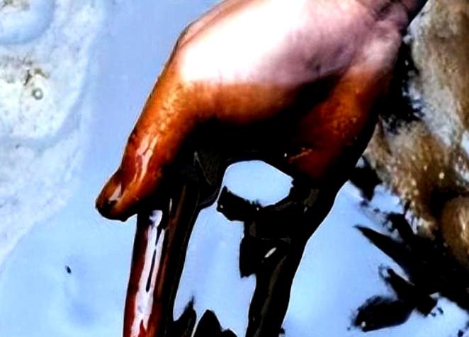 火葬场真的会产生 “尸油” 吗？

那些被传得神乎其神的 “尸油流向”，到底是真