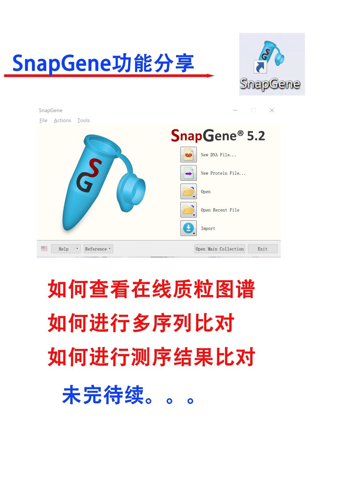 关于Snapgene 你不一定知道的小功能分享