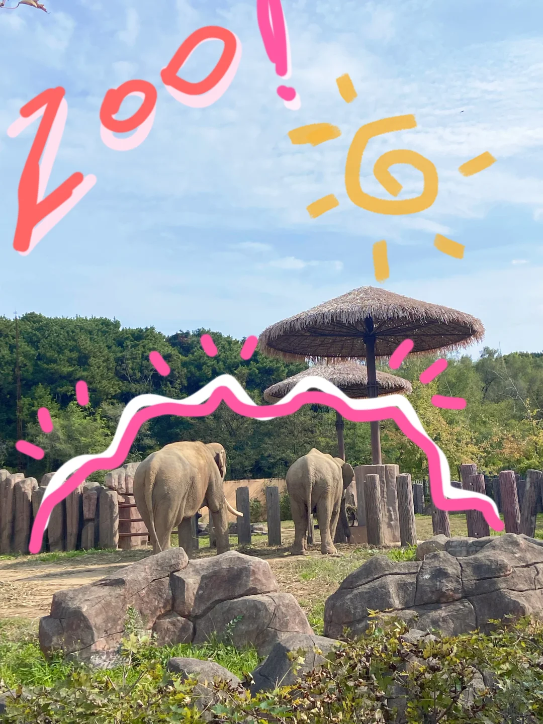 沈阳森林动物园✨不累路线记得收藏好❗