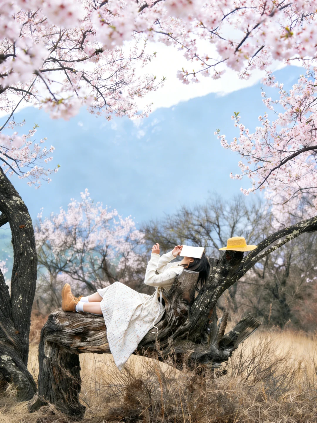 被我找到！林芝这80亩野桃林封神了🤫