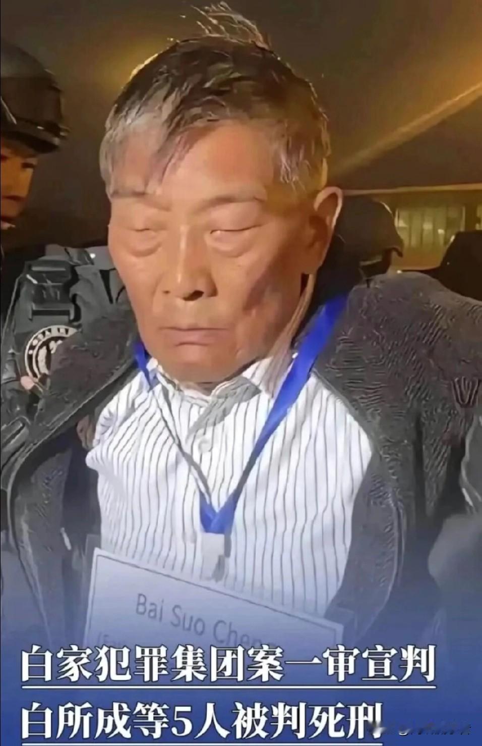 大快人心！白所成、白应苍等5人死刑落定，父子伏法，全国欢庆！

白所成、白应苍父