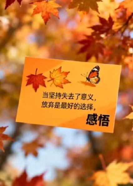 半夜三点多，我还在公司对着电脑加班，手机突然 “叮” 一声响，弹出老婆发来的消息