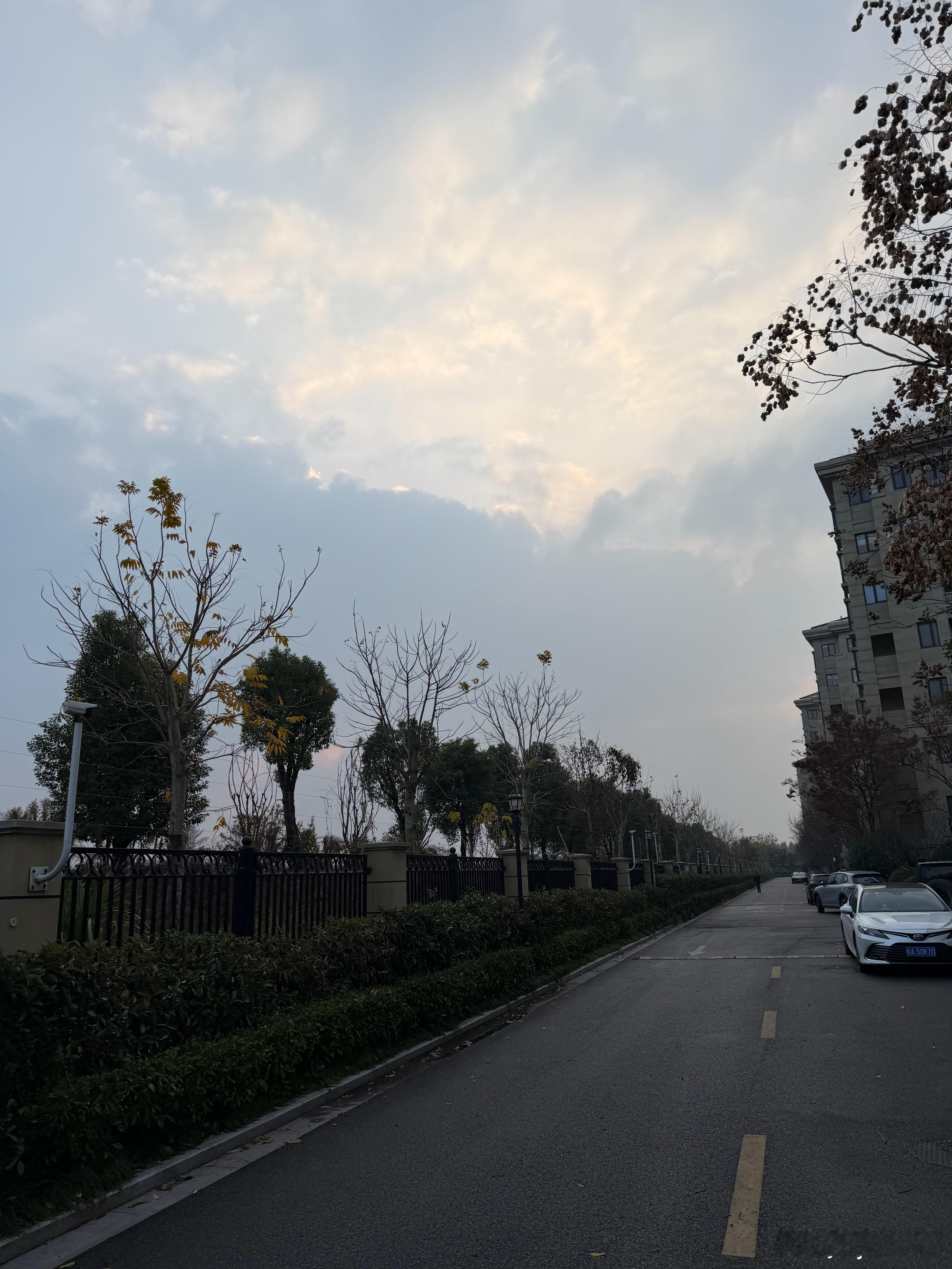 早，杭州真的冷了早晨