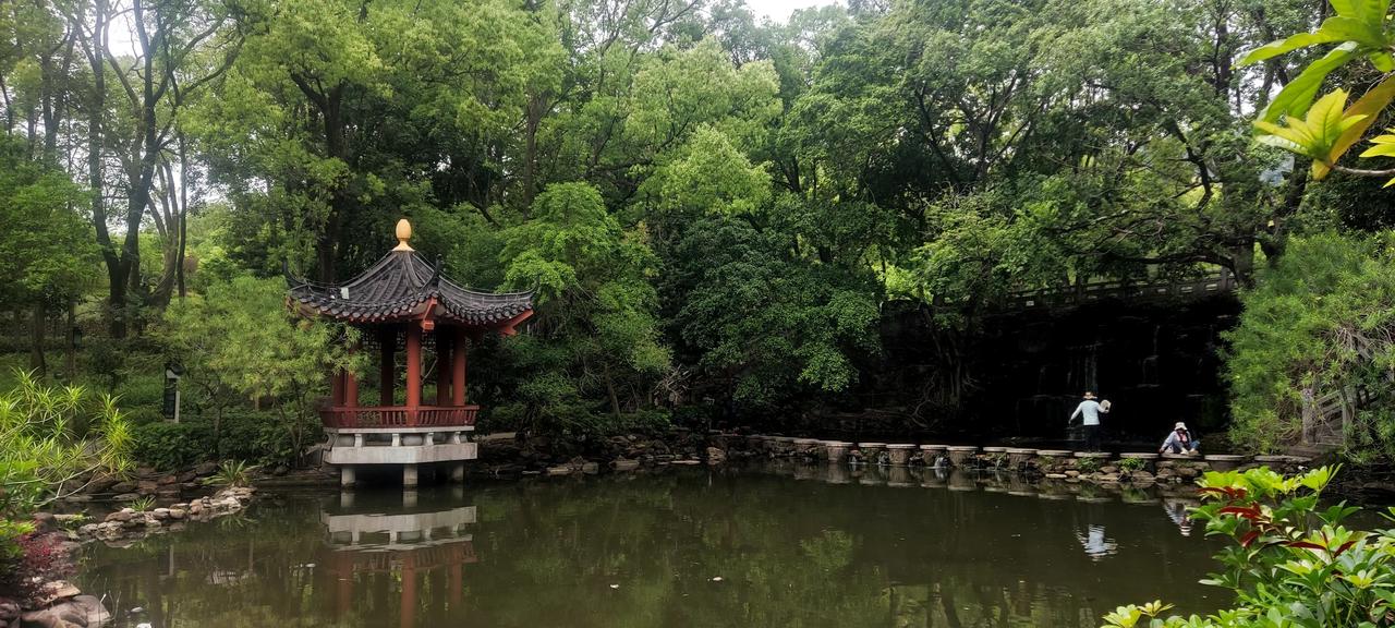 观落叶有悟

文/在线灵童（广州）

落叶维新景，
流水逐浪清；
紫气明高远，
