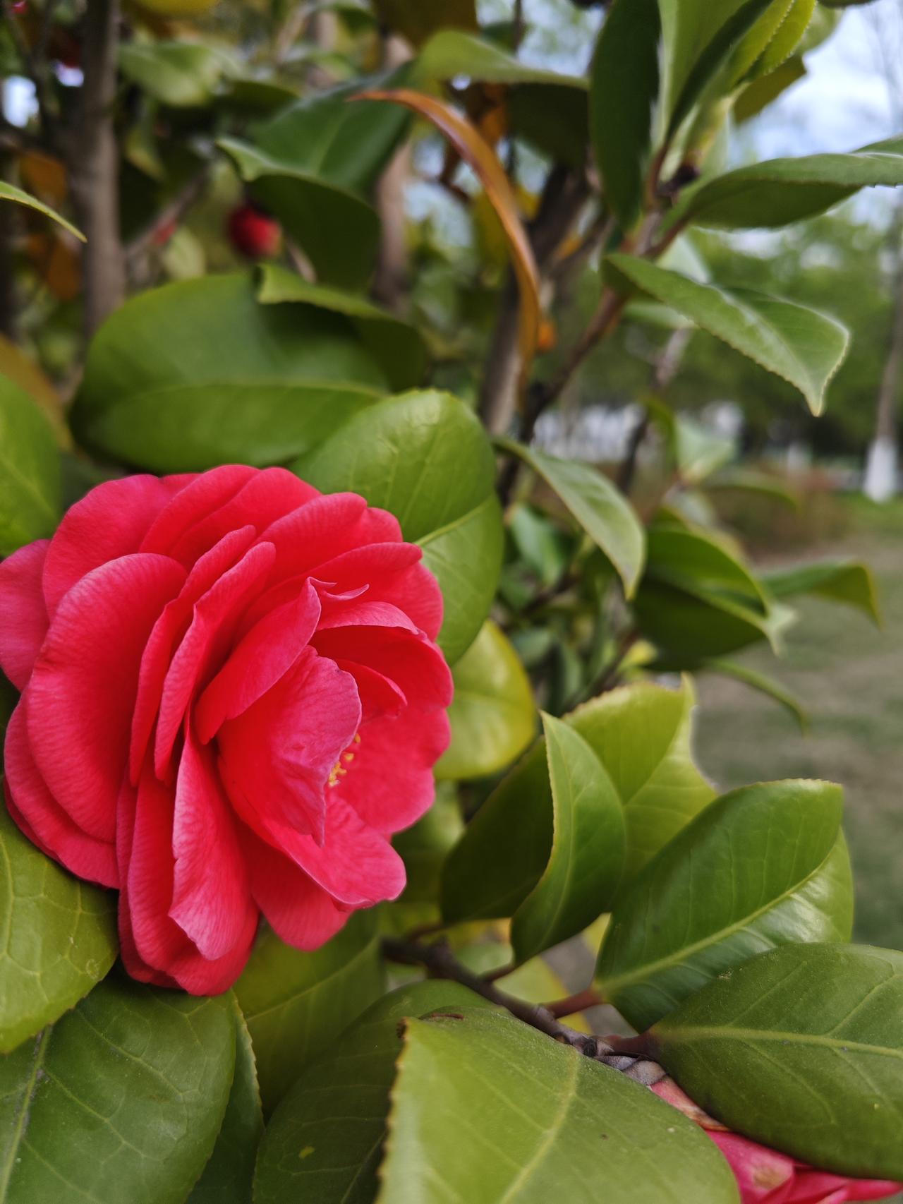 你是不是也纳闷：补品没断过，医院没少跑，咋身子骨还是像筛子一样漏风？

养生这事