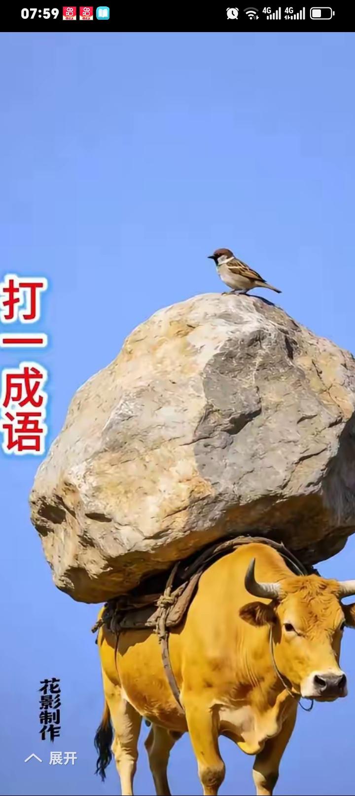 打一成语：确实牛逼“雀石牛逼”