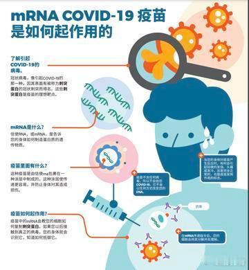 关于马斯克疫苗言论，科兴疫苗有无问题近期，马斯克指责前世界首富比尔盖茨参与疫苗灭