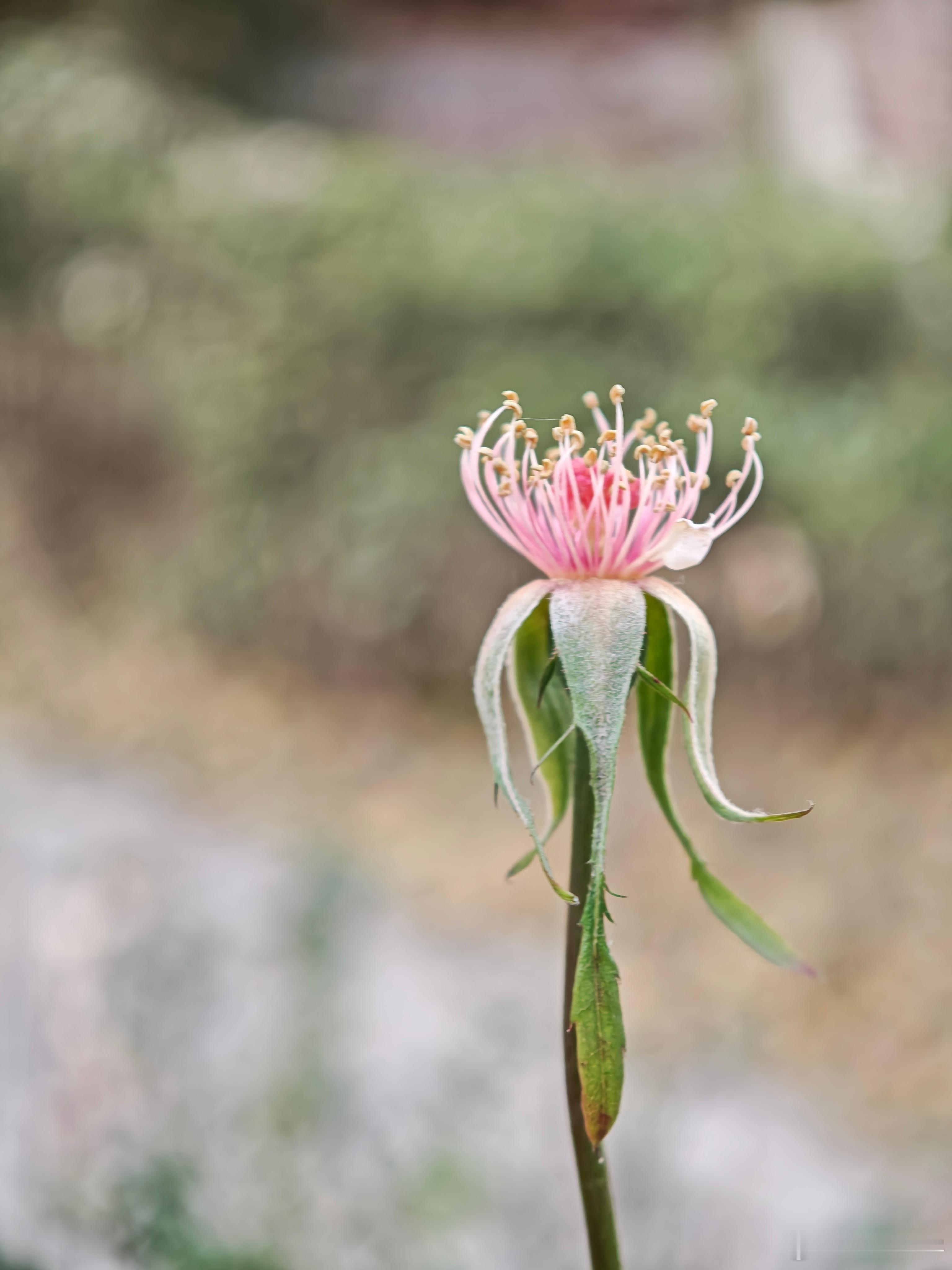周末不想干活，有么有和我一样微博手机影像年