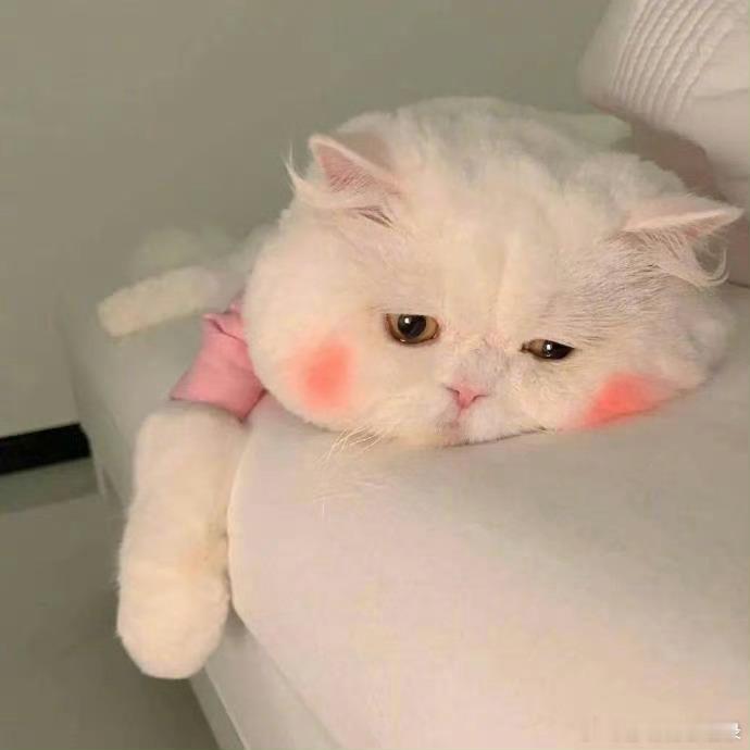 “你有表达愤怒的权利，但不要愤怒地表达 。” ​​​