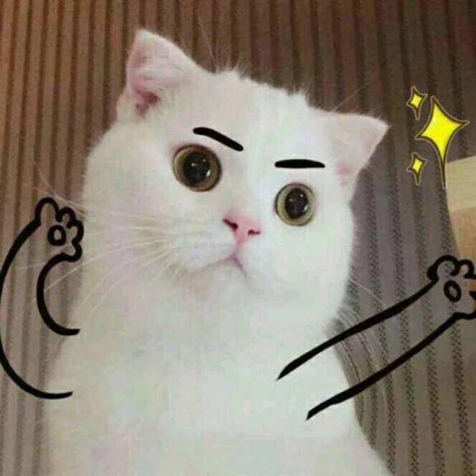 韩安冉三胎是双胞胎 不是刚生吗？而且不是刚闹离婚吗？我记错了？这一天天的，生孩子