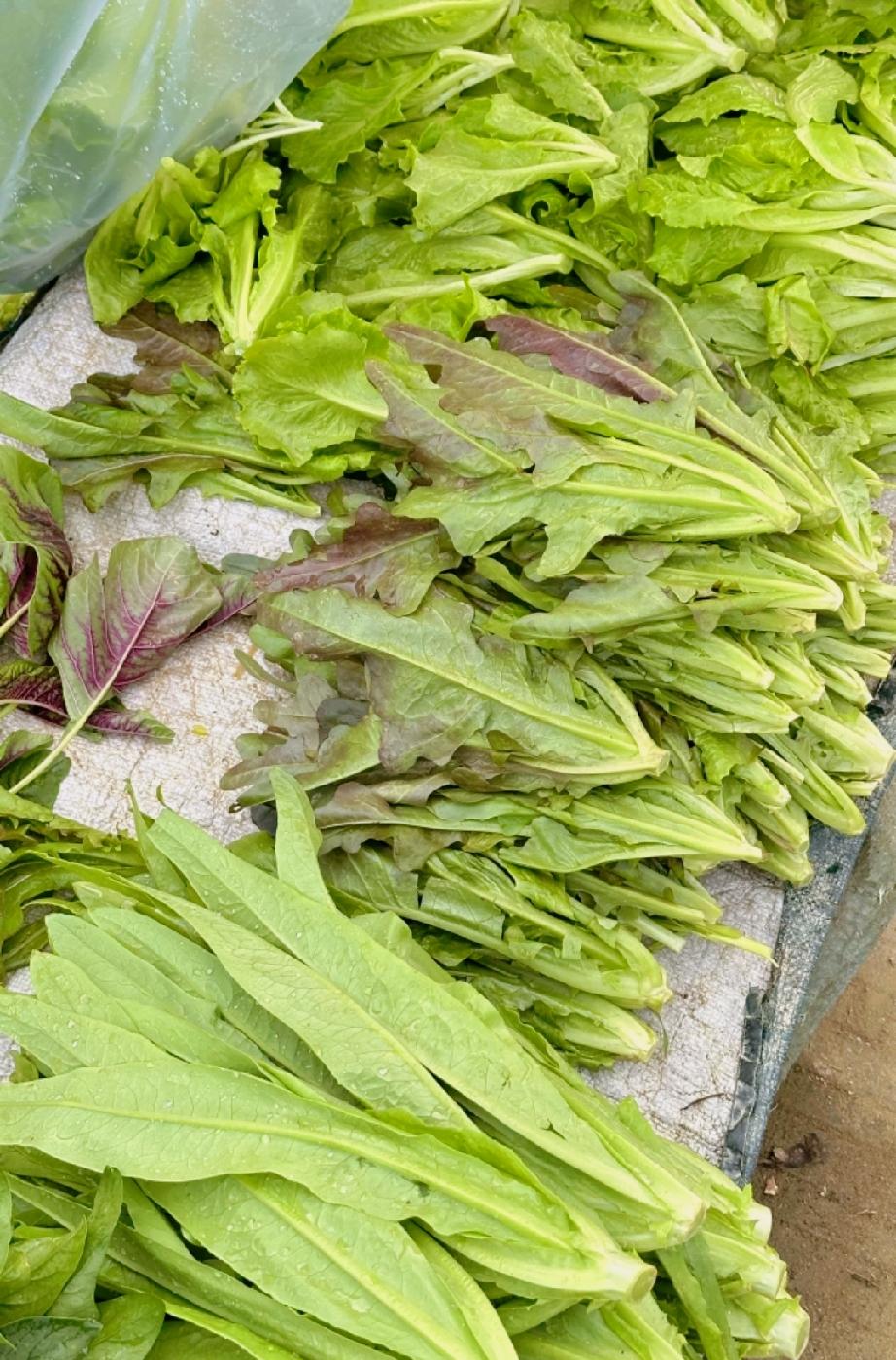 一摞坐墩墩，二摞走脚皮
三摞有米煮四摞有米炊
五摞五田庄六摞孬心肠
七摞七益益八