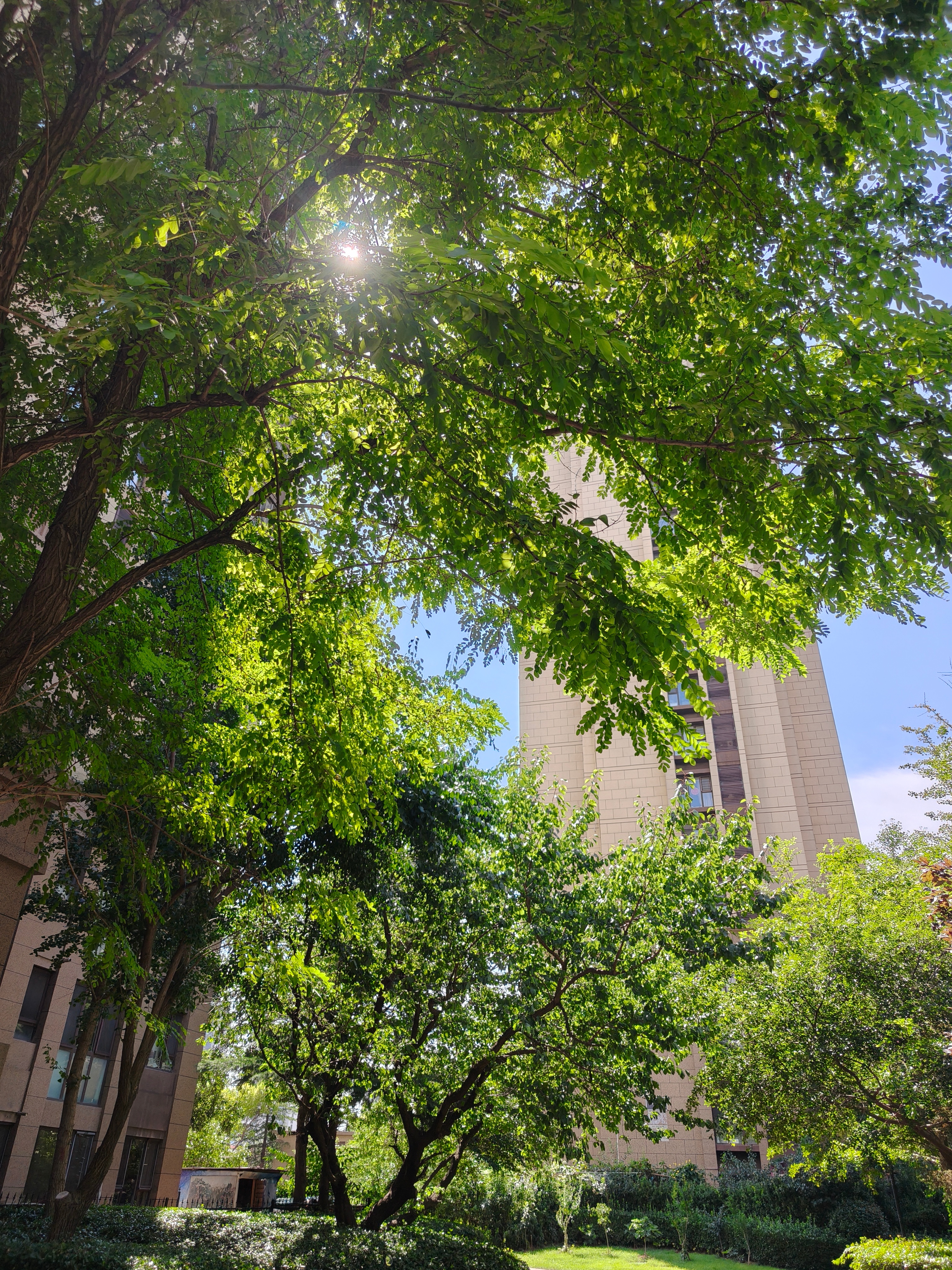 那年夏天最后的那一天你轻轻地唱着歌 ​​​