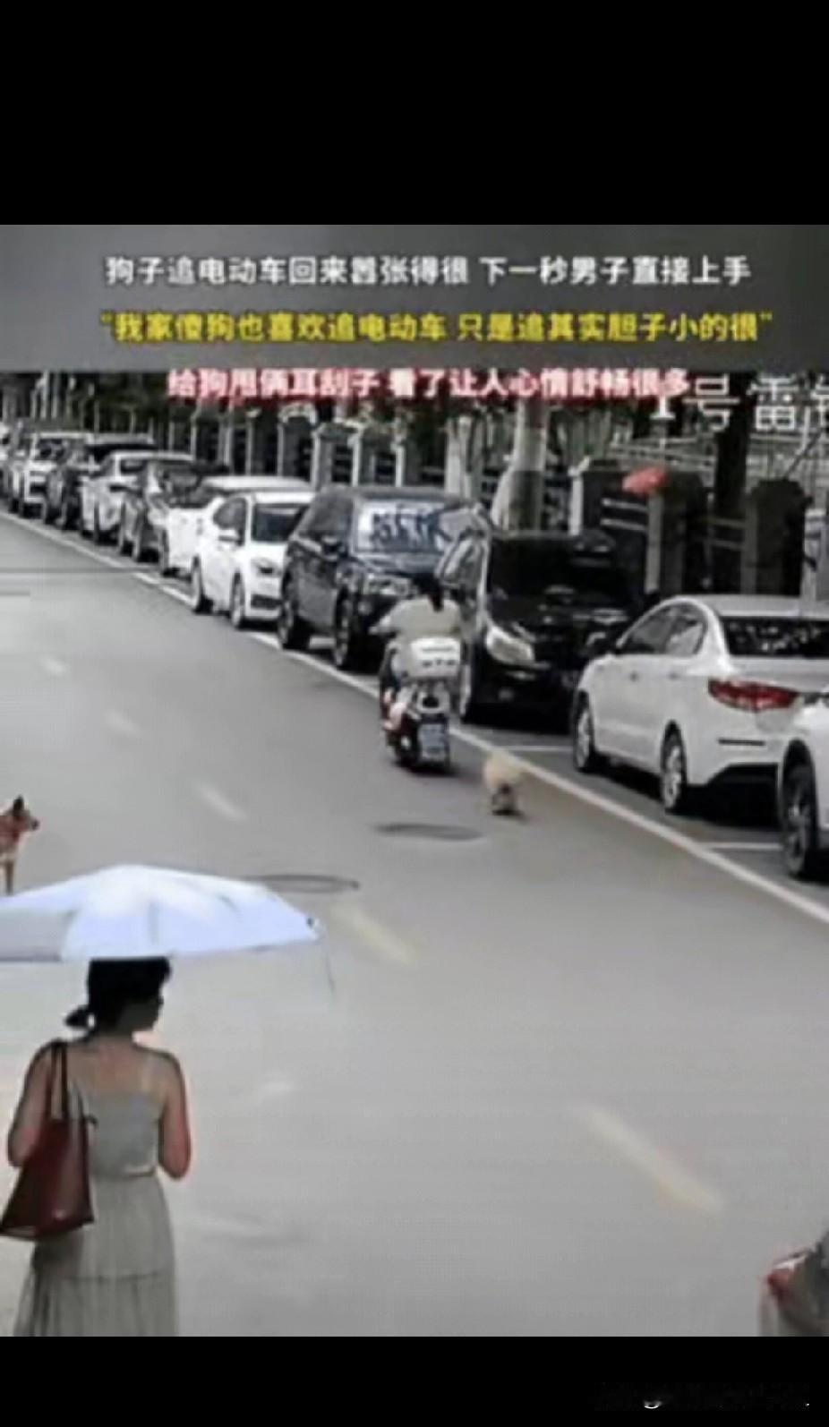万万没想到！湖南，女子骑车回家，突然被路边狗子追，吓得女子口吐芬芳，狗子没追上，