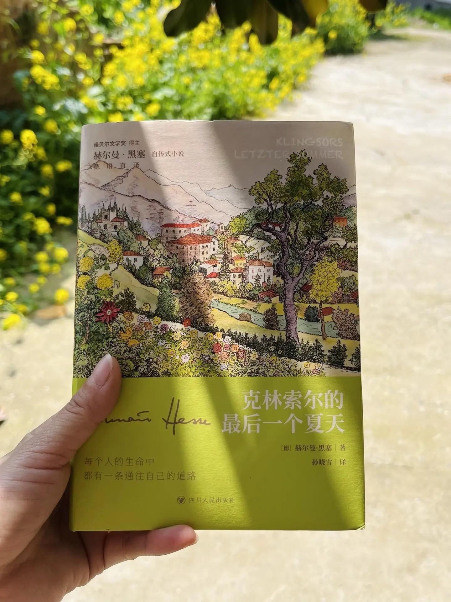 我别无所求，只想被阳光晒透。夏日必读好书——《克林索尔的最后一个夏天》...
