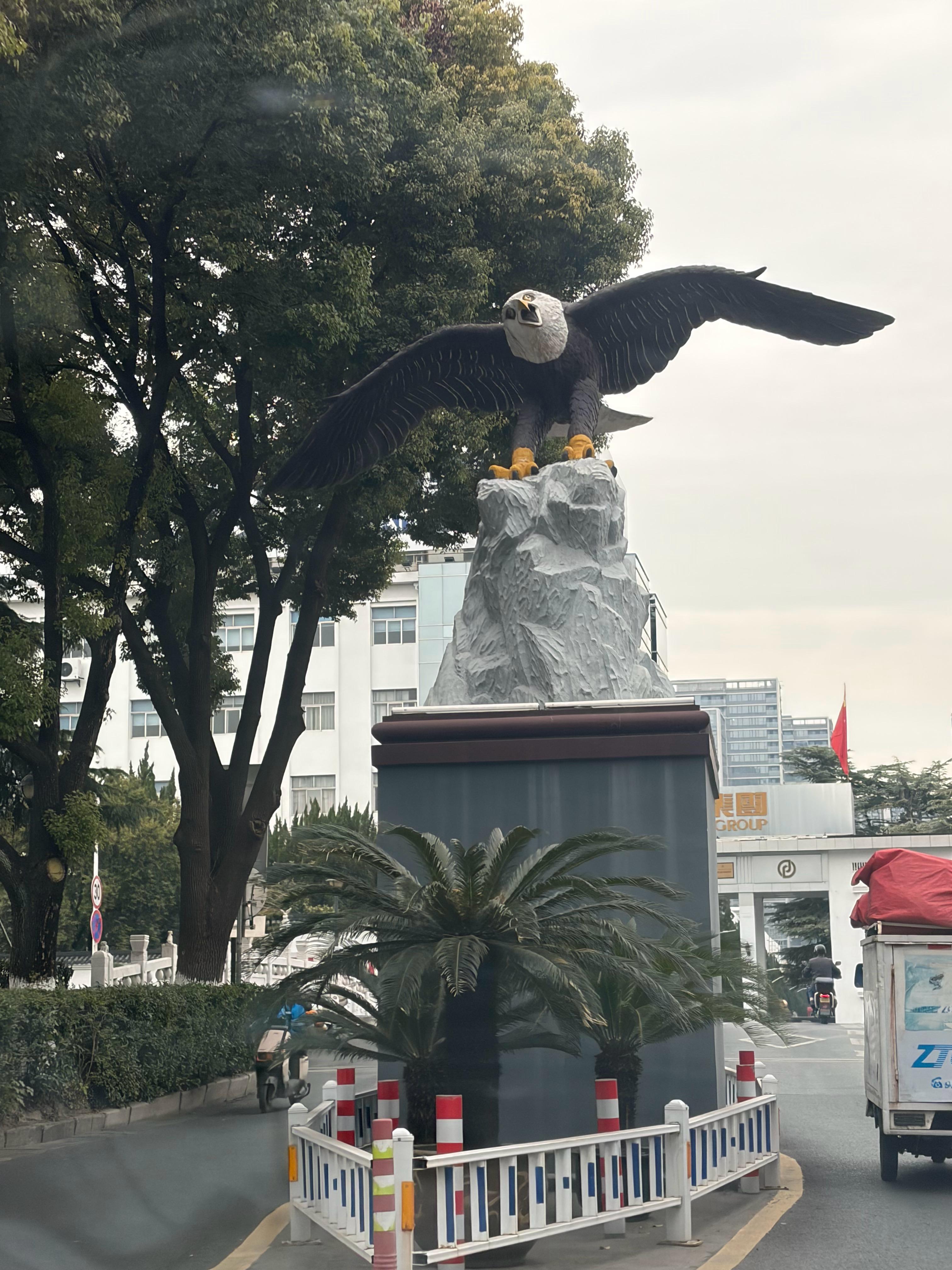 笑死我了！！为什么马路上会突然出现一只看起来不太聪明的鹰🦅它是万向集团的吉祥物