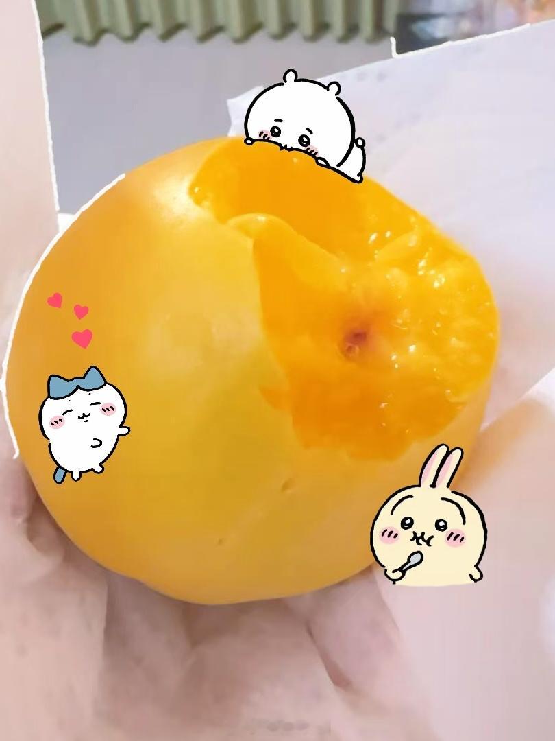 航班延误，现在饥肠辘辘被硬控在座位上等起飞，想念冰箱里送的黄桃。太好吃了，甜丝丝