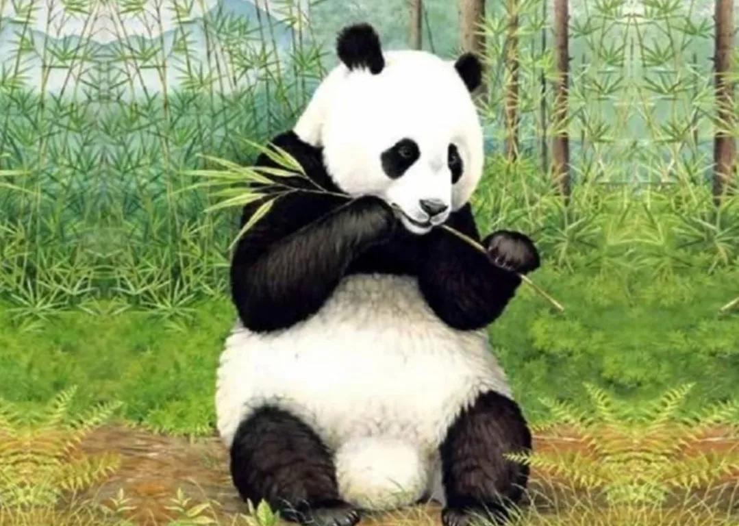 芬兰突然把中国大熊猫给退回来了，这事儿立刻在网上炸开了锅。熊猫可是国宝级的友好大