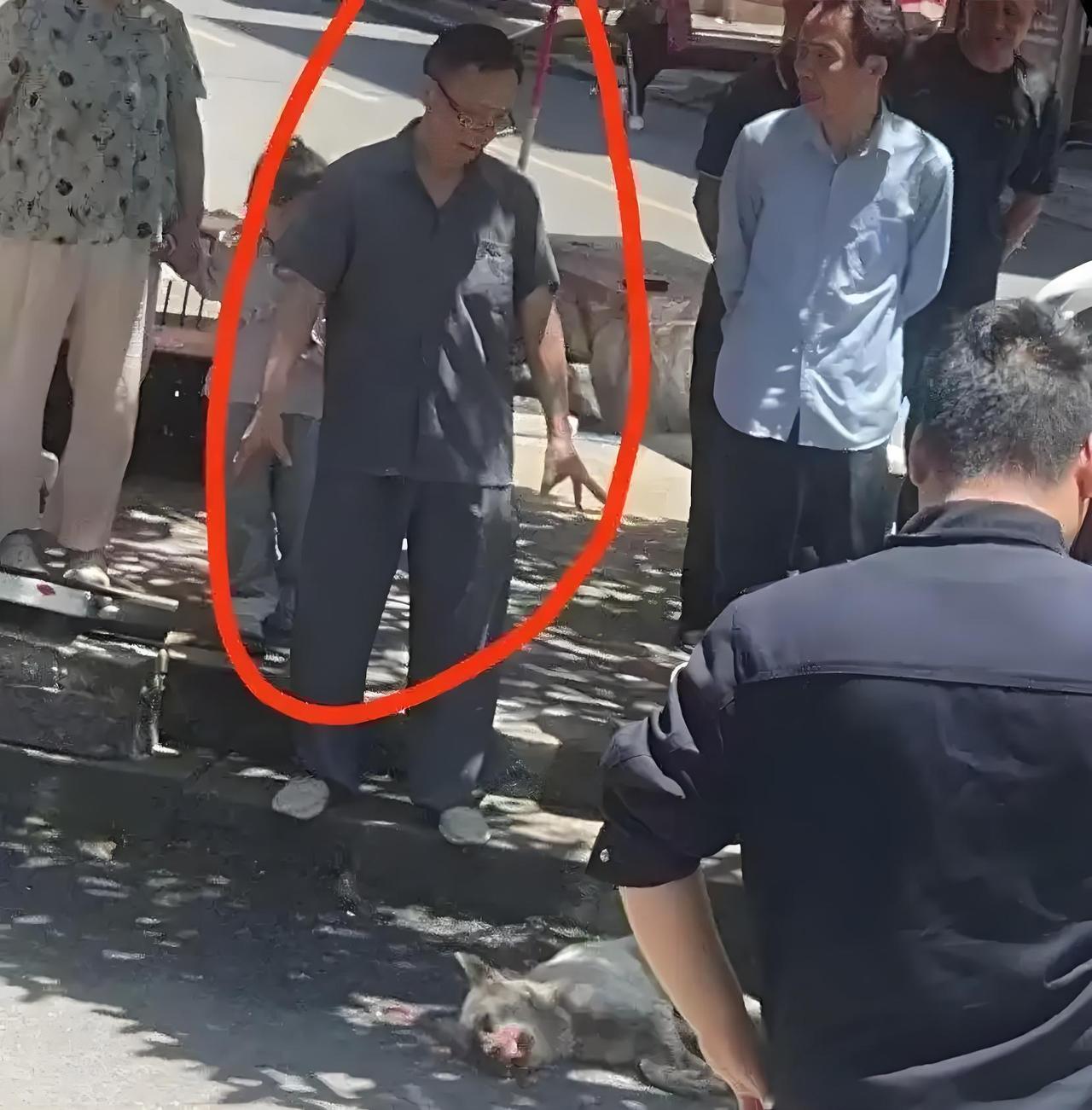 6 月 14 号那天，湖南隆回县城出了件吓人的事。一条疯狗在街上乱窜，跑了好几个