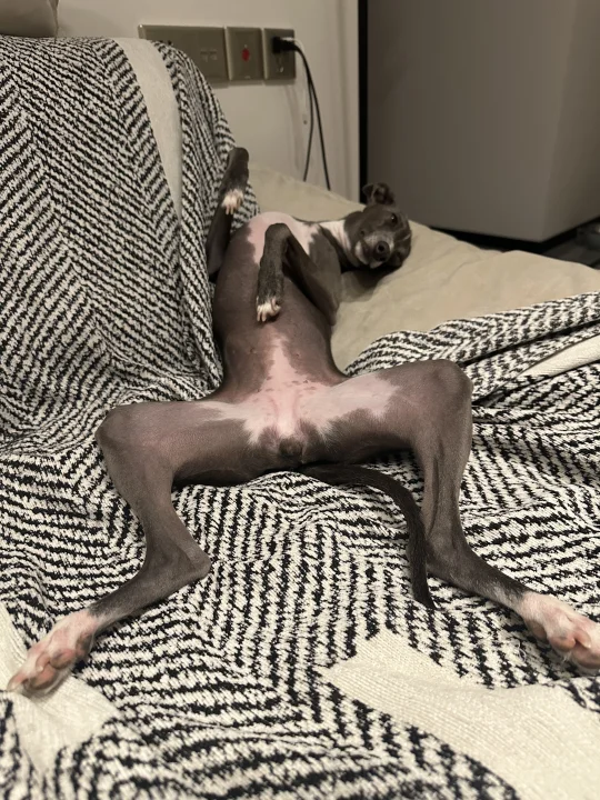 加完班以后的我