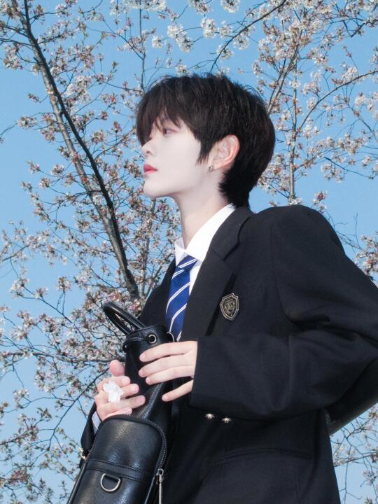晚樱是春日的回信
