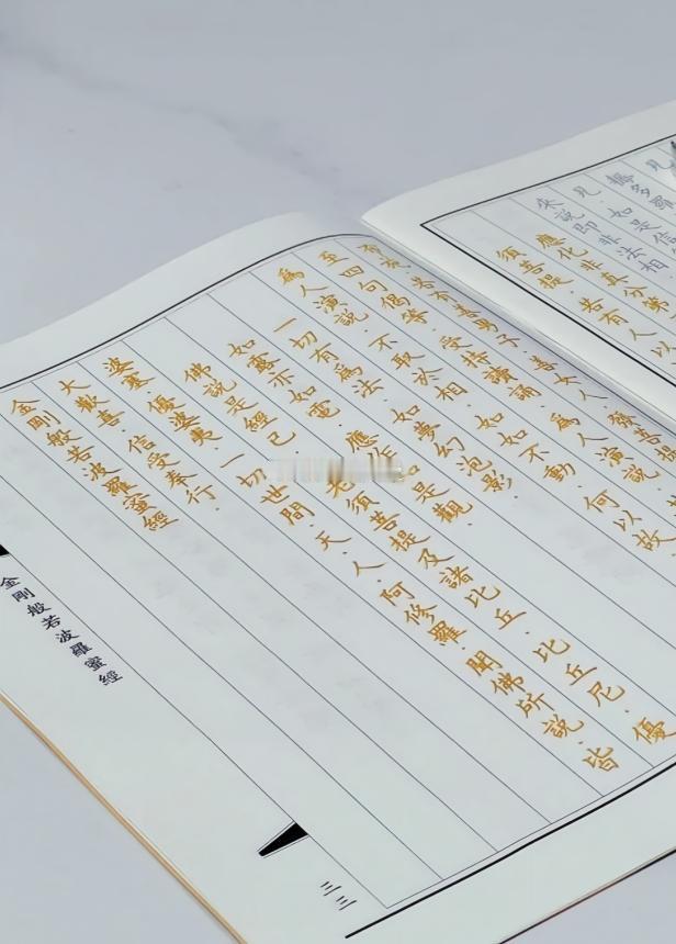 抄诵金刚经功德回向，祈愿佛菩萨加持，2026年平安顺遂，诸事吉祥，心想事成，六时