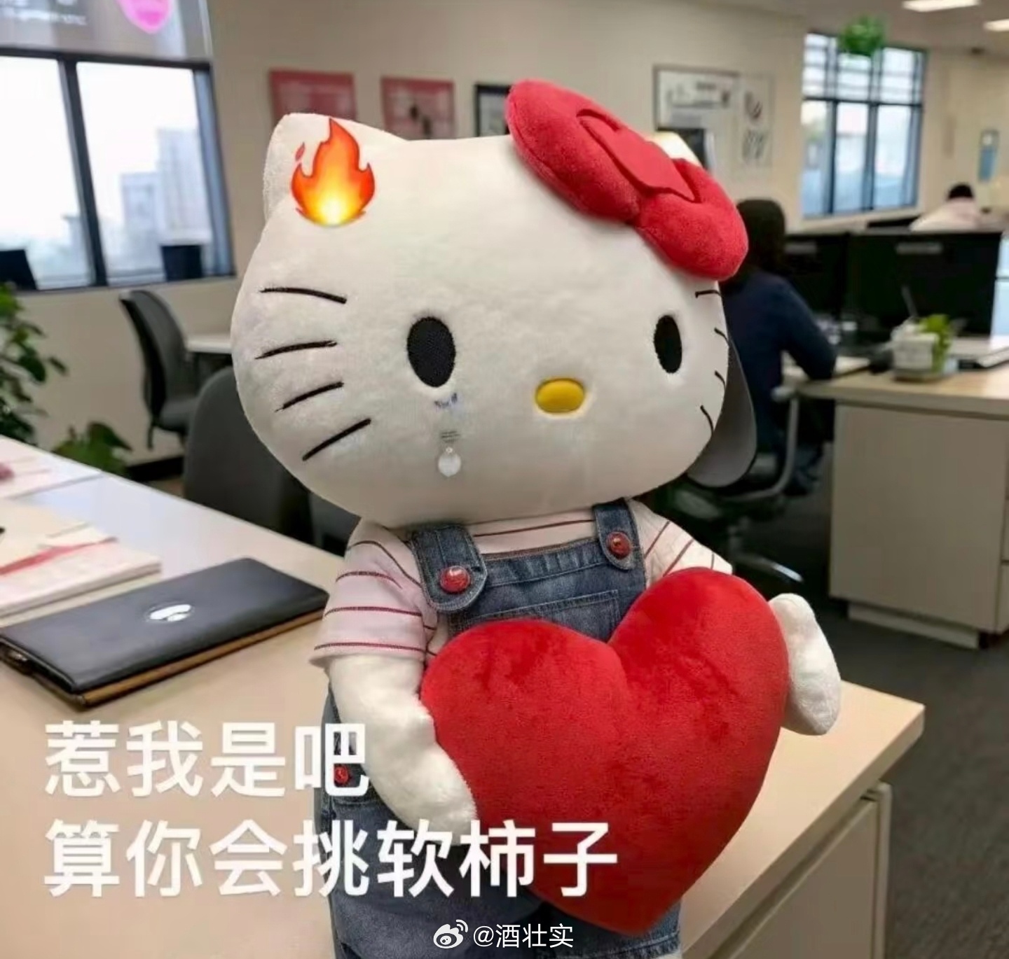 就这样吧[doge]小red书已经开始删我刚才那个，我和另一个女媒体老师被大量球