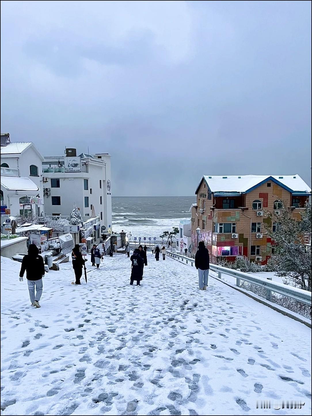 今冬顶流的C位那必须是威海——毕竟没有哪个城市能把雪、海、天鹅和温泉的浪漫，玩得
