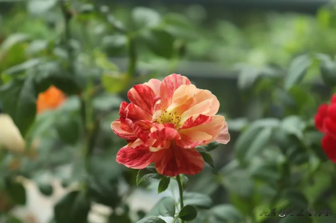#上联：秋分时节凉风起，诚邀下联#
上联：“秋分时节凉风起”

下联：“霜降山川