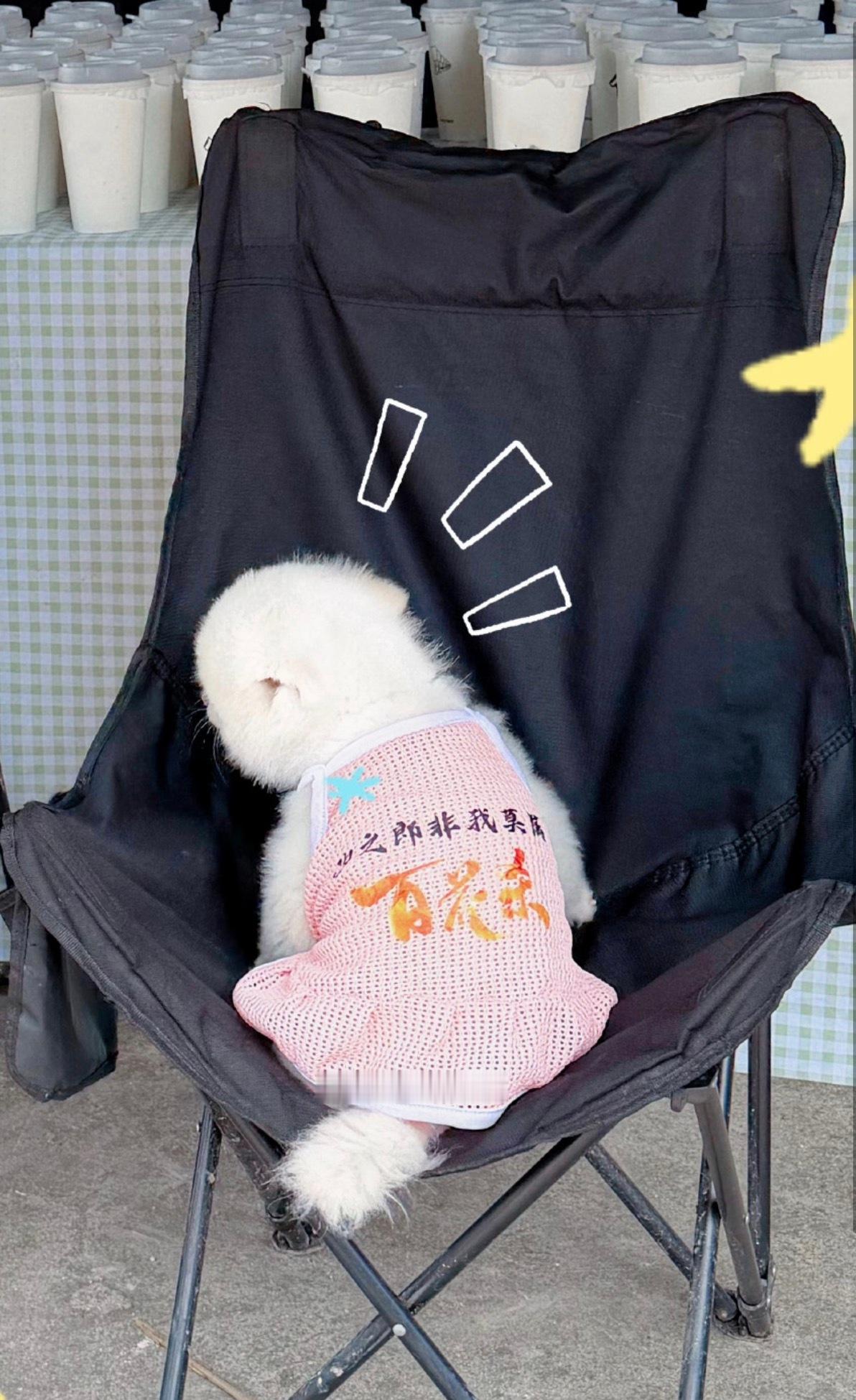 我哥哥好有事业心好努力，汐之郎必须是我哥哥！！ 