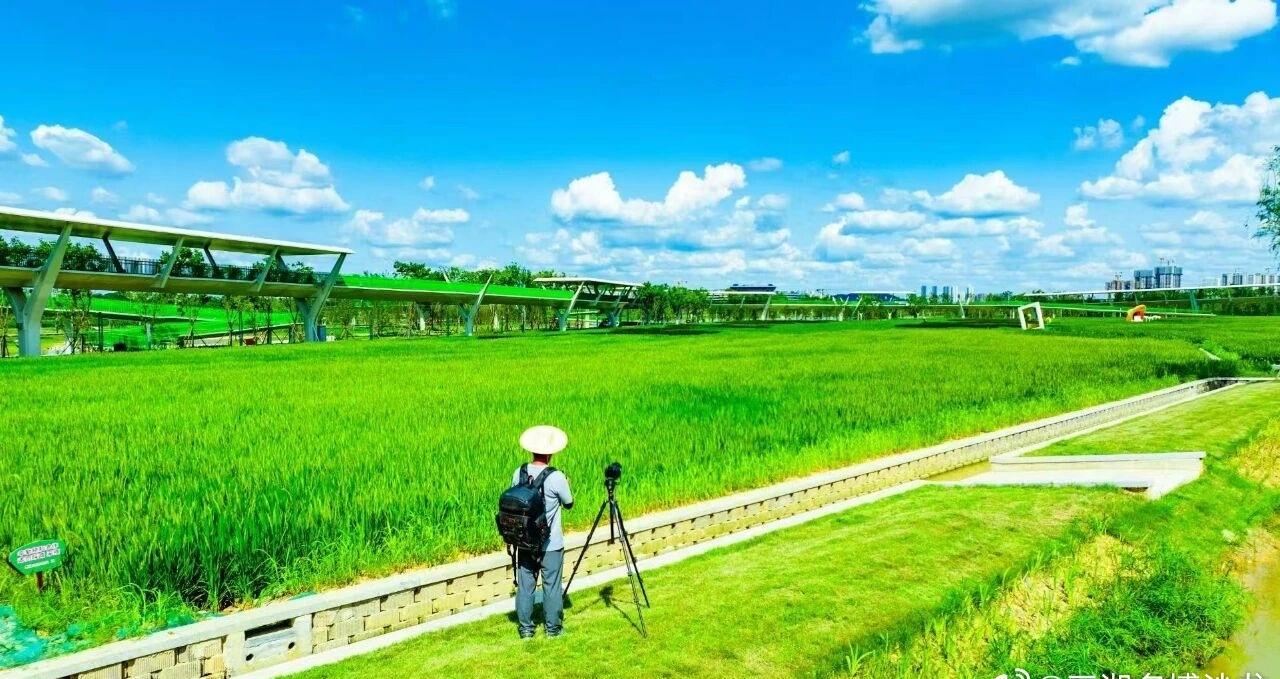 11月8日，第26个中国记者节如约而至。对每一位新闻人而言这既是初心的回望，更是