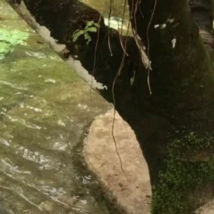 善虽小，每日积累， 多年后，积善如山。 小善是举手之劳，小善是微笑， 小善坦诚相
