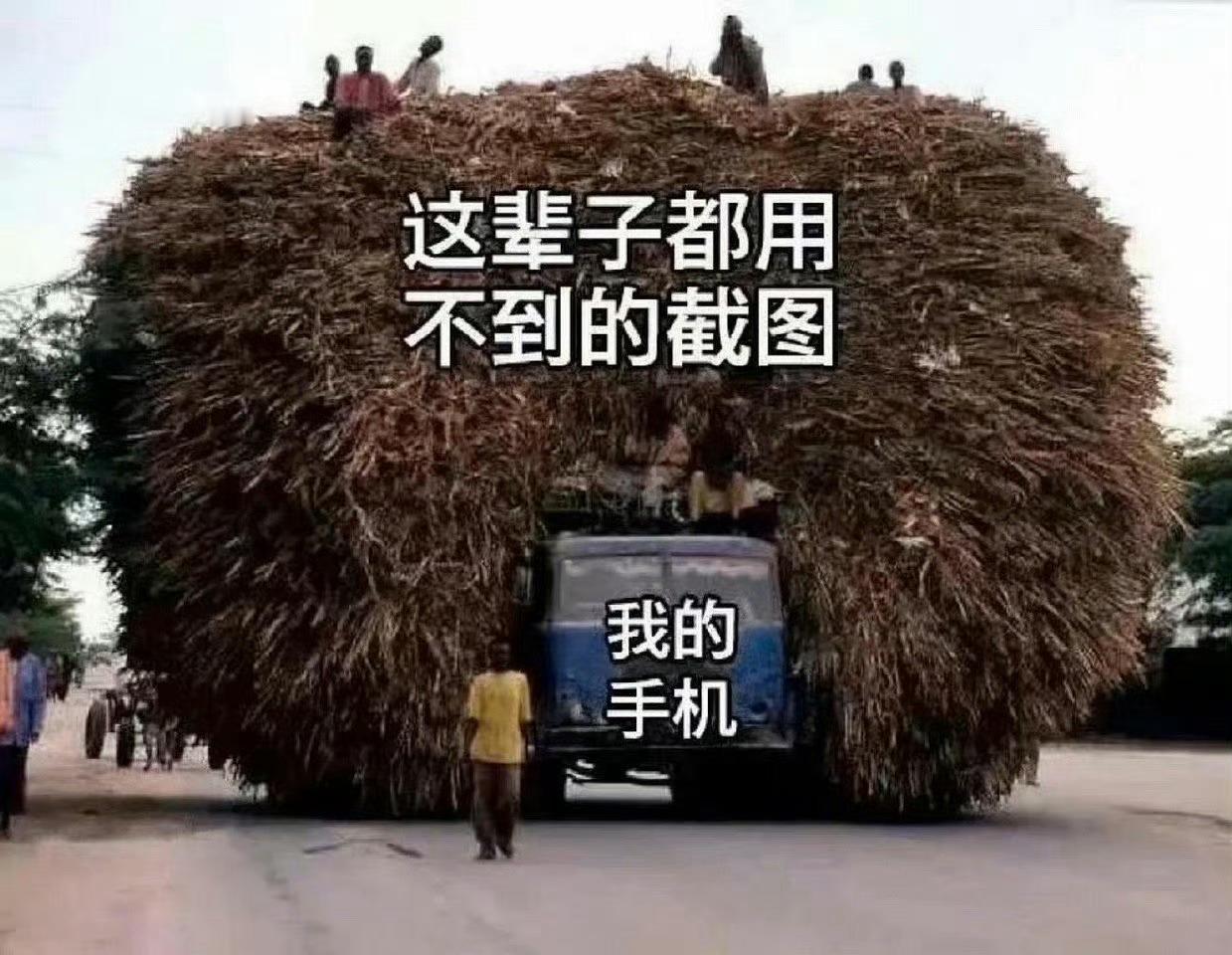 我的手机be like ​​​