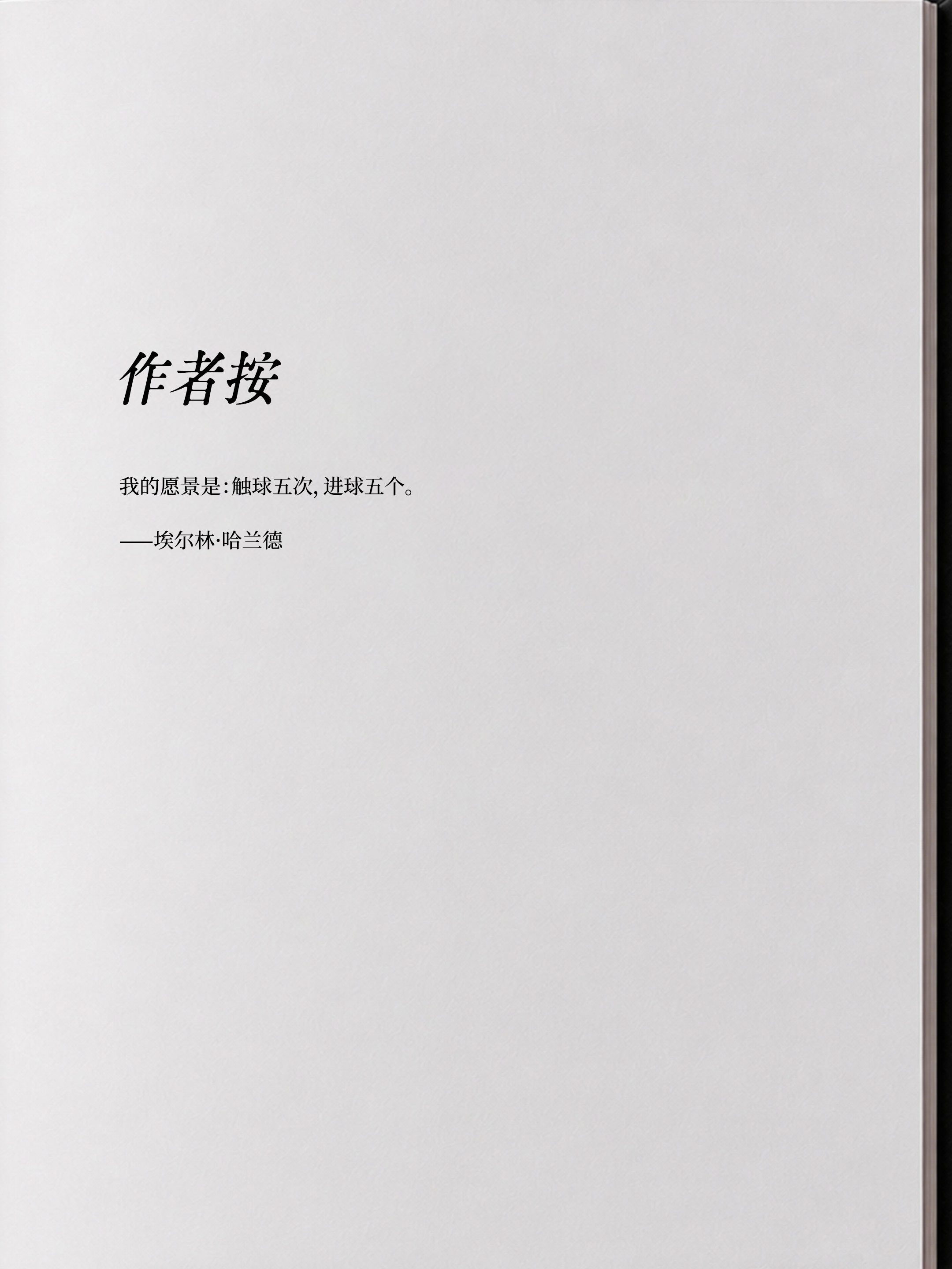 再等一哈世界杯哈兰德