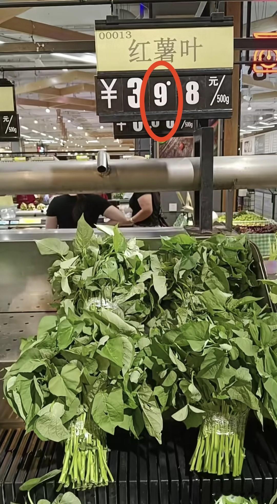 难怪这么新鲜的红薯叶放了一天没一个人买