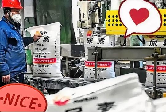 霍尔木兹海峡那边还没消停，谁能想到，咱们西北新疆、宁夏和内蒙的尿素厂却忙得脚不沾